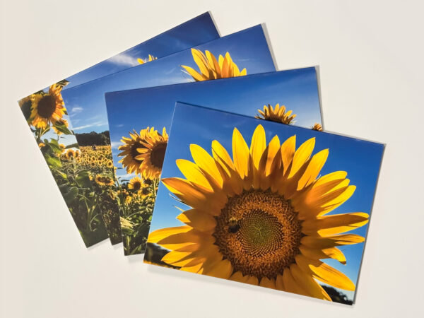 Sunflower Greeting Cards