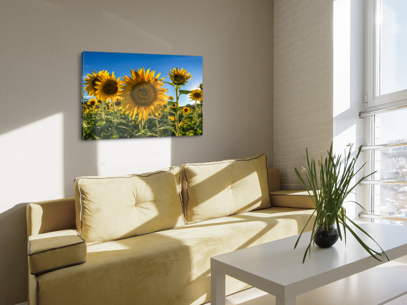Sunflowers Canvas Print #1 - Image 3